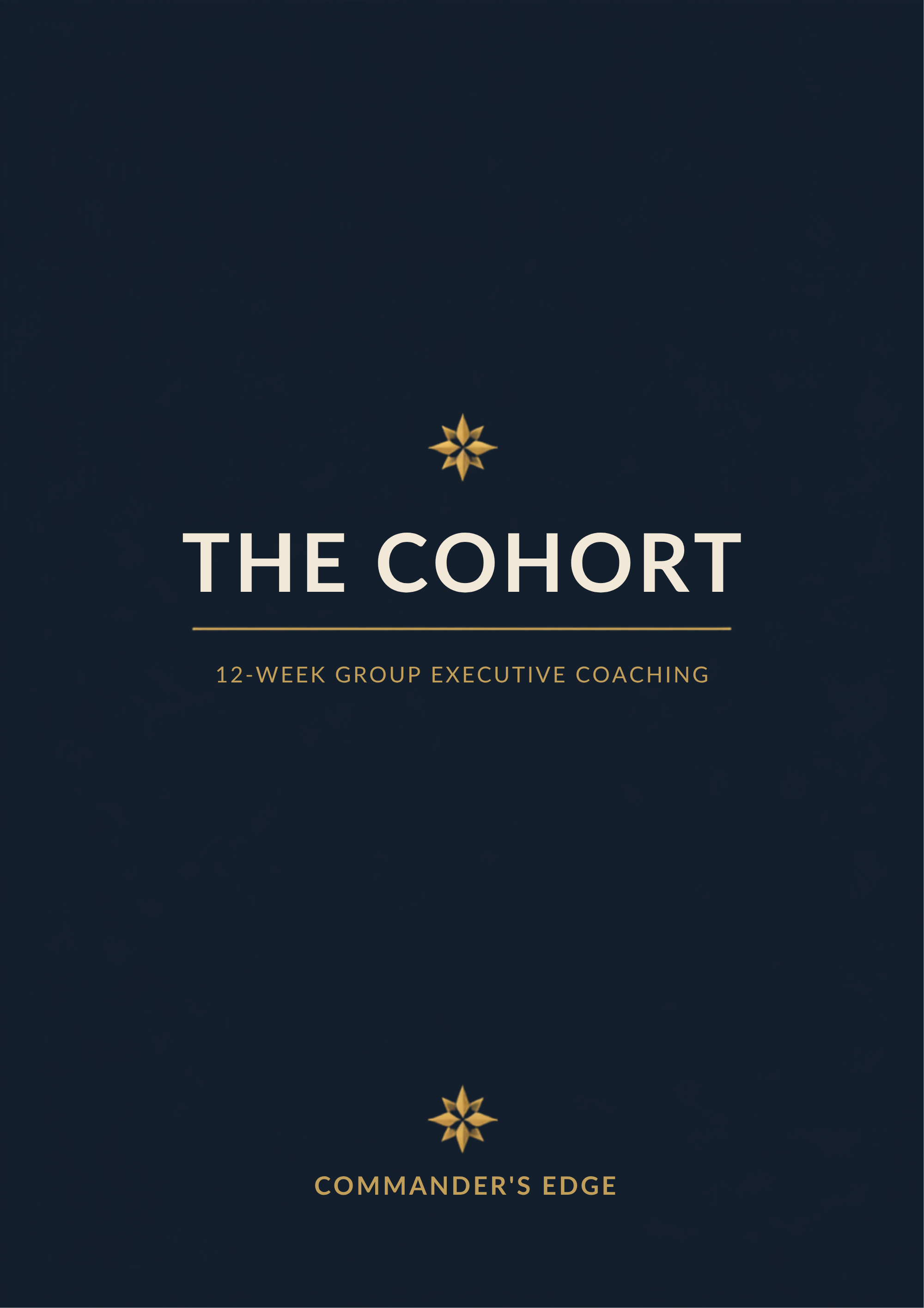 The Cohort — Group Executive Coaching Program card